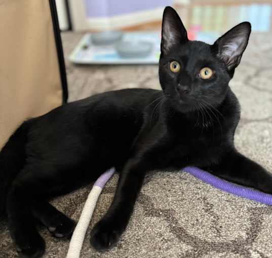 Photo of Bucky