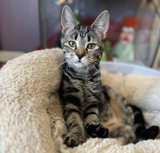 Photo of Wanda