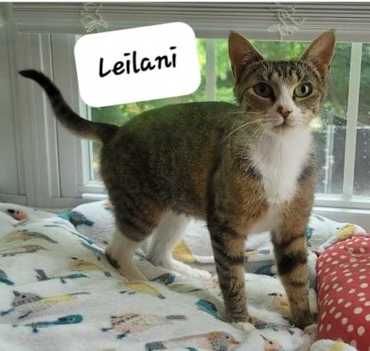 Photo of Leilani
