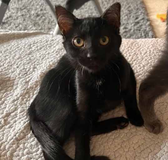 Photo of Salem