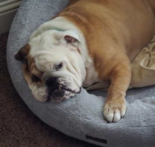Photo of Biggie