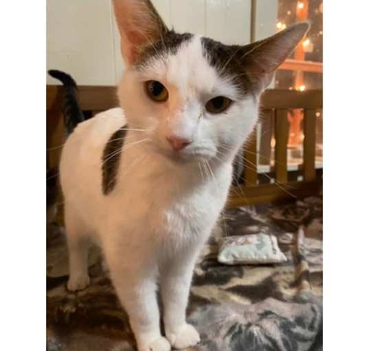 Photo of Minette