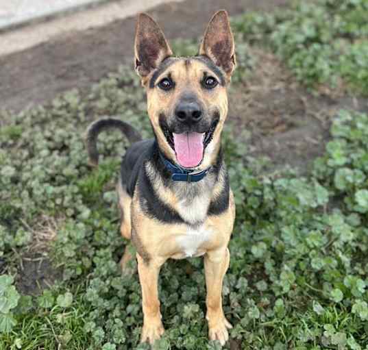 Photo of *OAKLEY