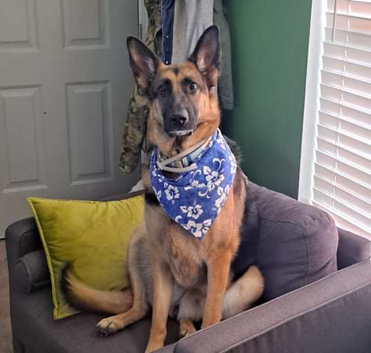 Photo of Maya