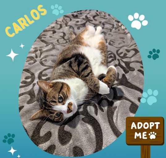Photo of Carlos