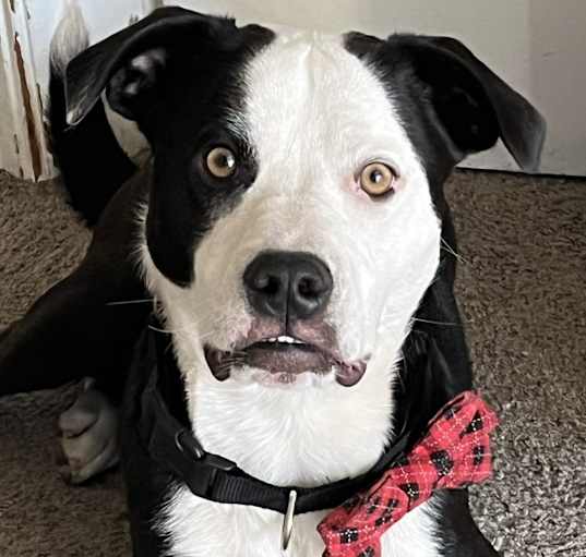 Photo of Reggie