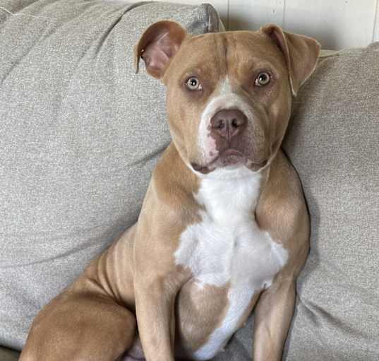 Photo of Wilma Gene