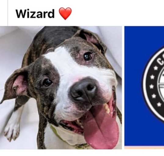 Photo of WIZARD