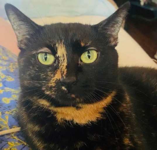 Photo of Estelle