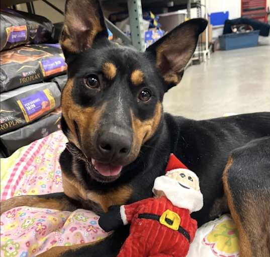 Photo of Cindy Lou