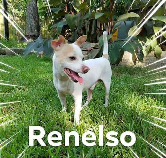 Photo of Renelso