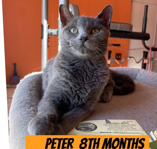 Photo of Peter