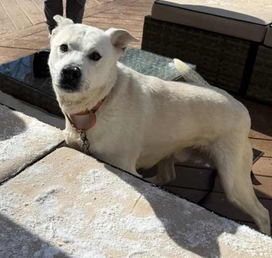 Photo of Arlo
