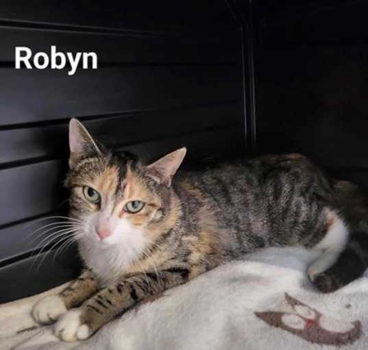 Photo of Robyn