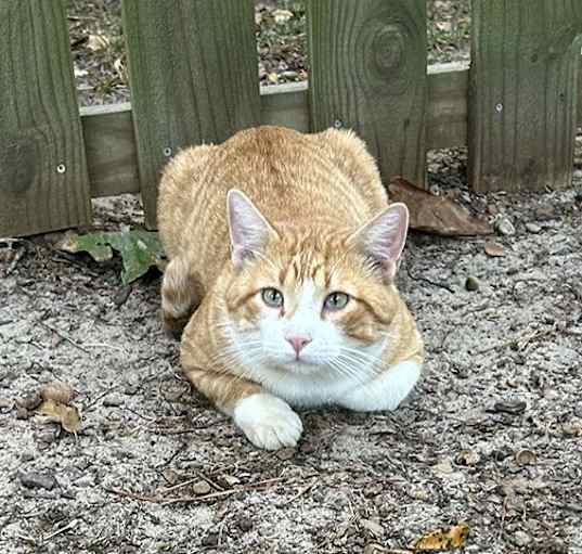 Photo of Buster