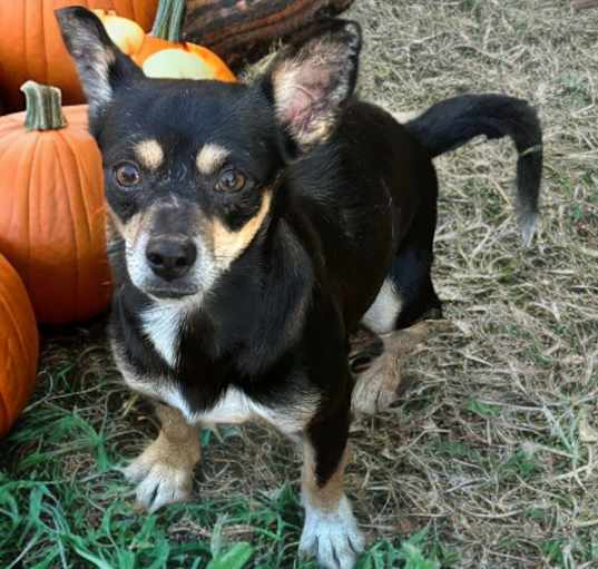 Photo of Ricky