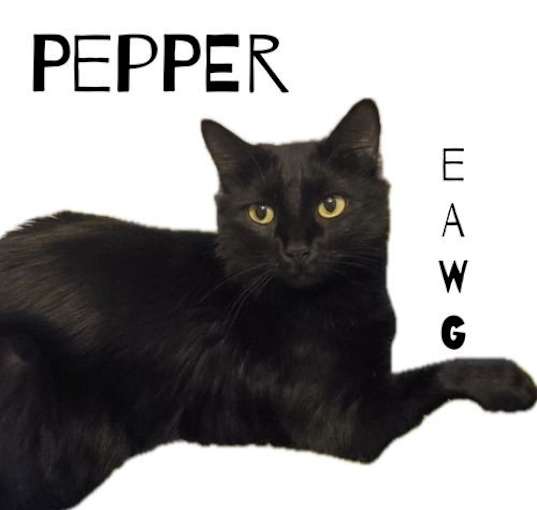 Photo of Pepper Henderson