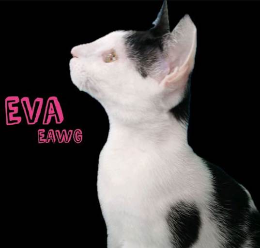 Photo of Eva
