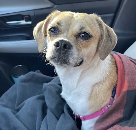 Photo of Winifred