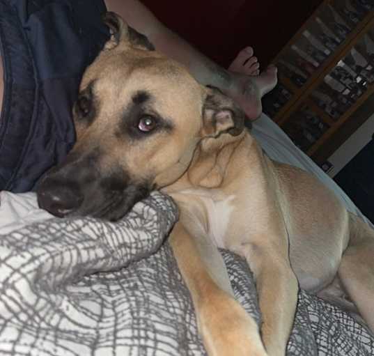 Photo of Wally