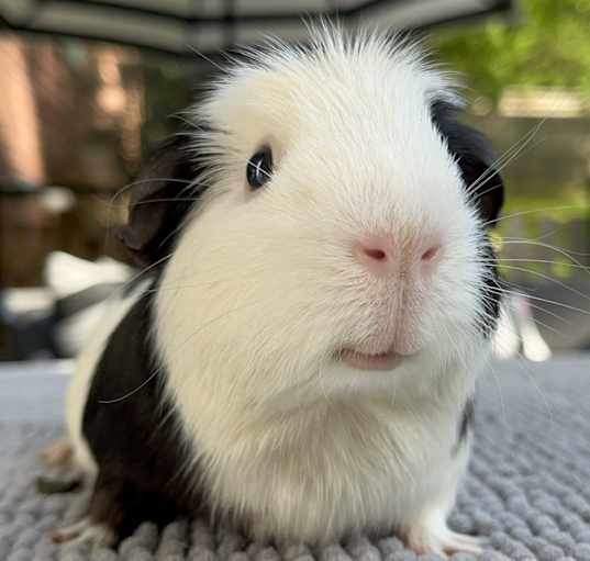 Photo of Eloise