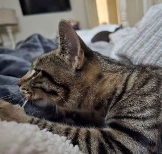 Photo of Luna