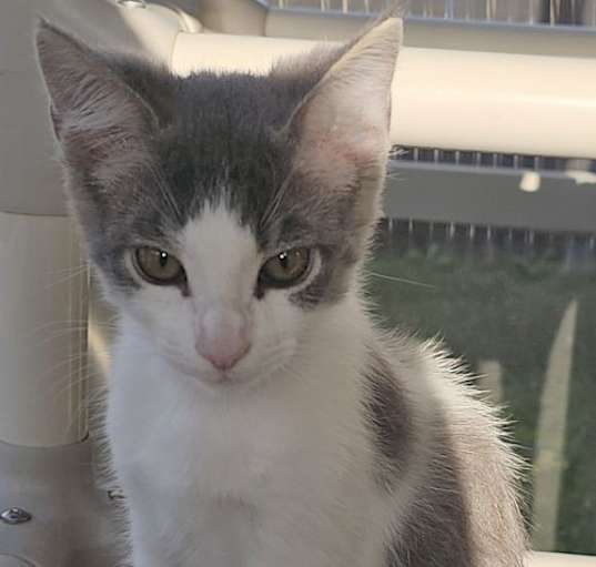 Photo of Lucien