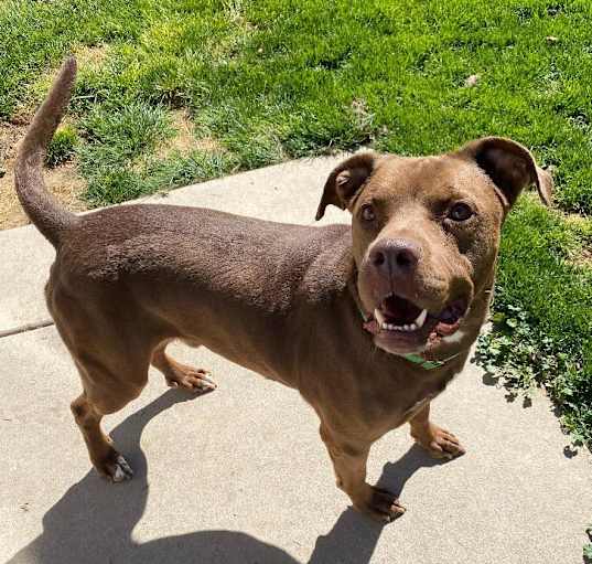 Photo of Buster Brown
