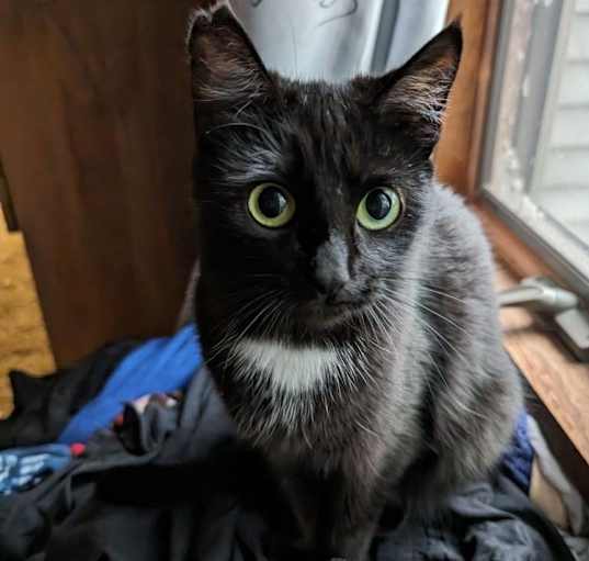 Photo of Hazel