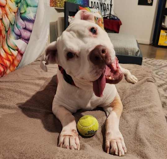 Photo of Happy