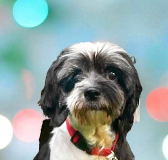 Photo of Ernie