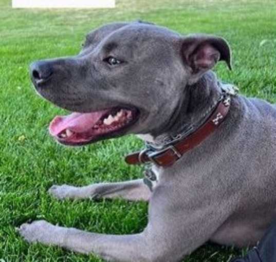 Photo of Tank
