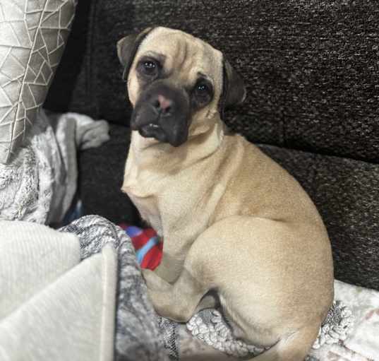 Photo of Gemma