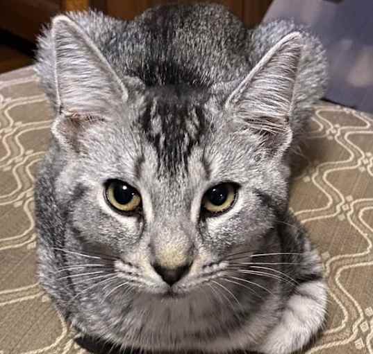 Photo of Everly