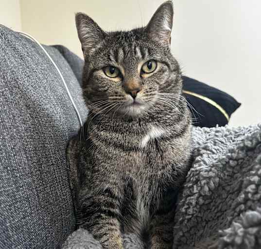 Photo of Freya