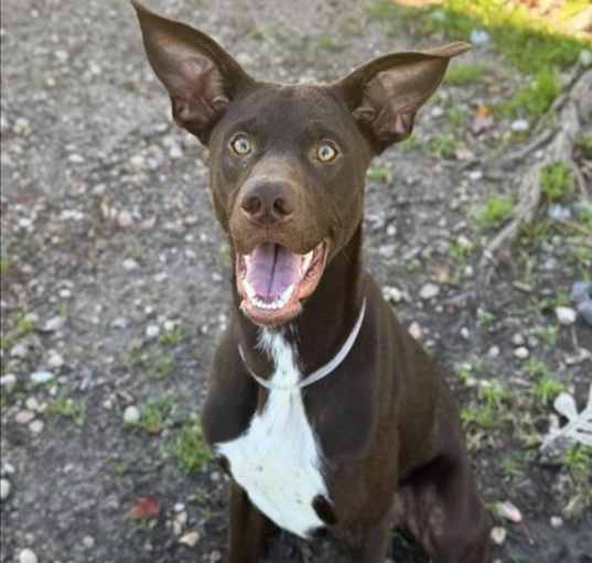 Photo of ATLAS
