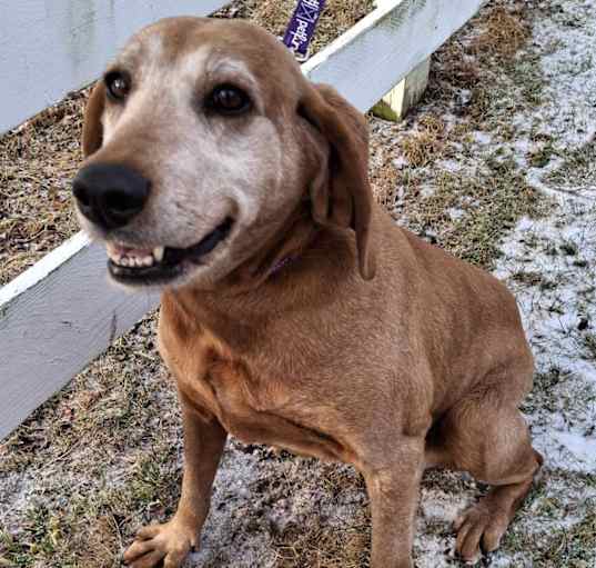 Photo of Lucy - Sponsored!