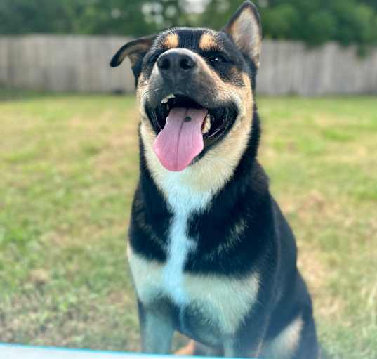 Photo of Arthur