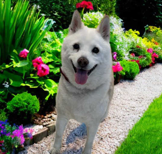 Photo of KAYLA