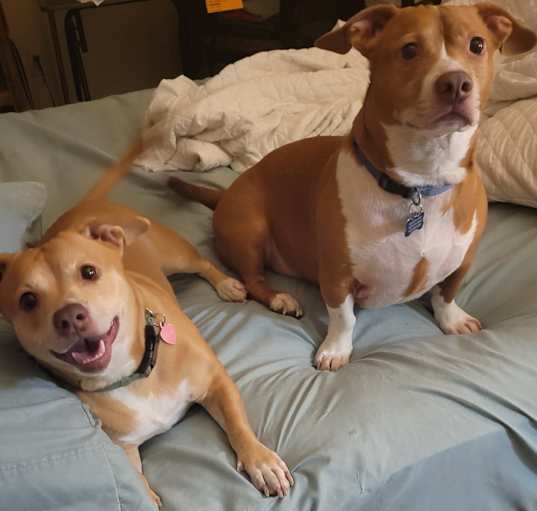 Photo of ELLIE & JAXSON