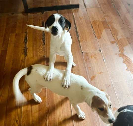 Photo of Andy and Barney