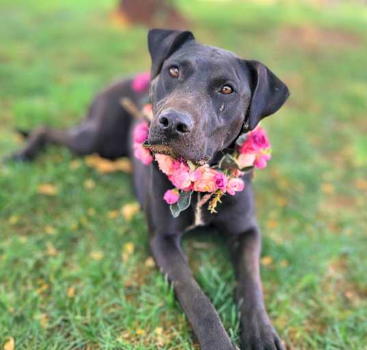 Photo of Oakley