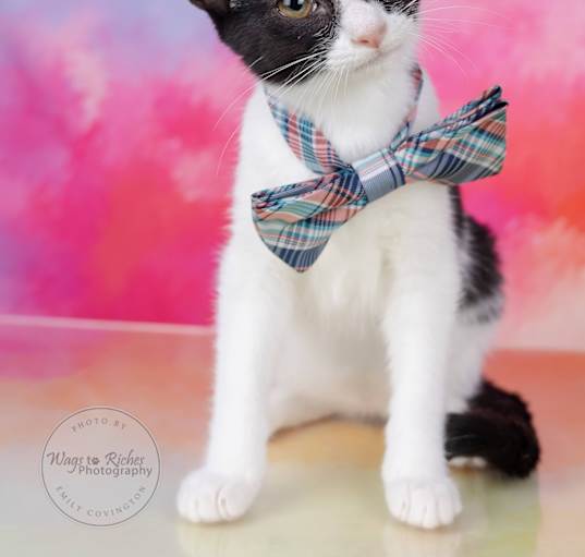 Photo of Frankie