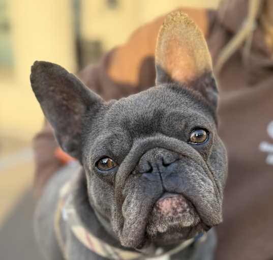 Photo of Mizzy