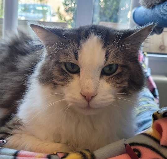 Photo of Reggie