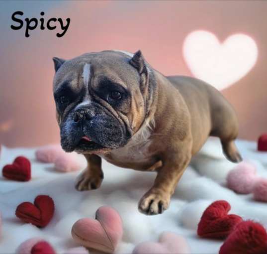 Photo of Spicy