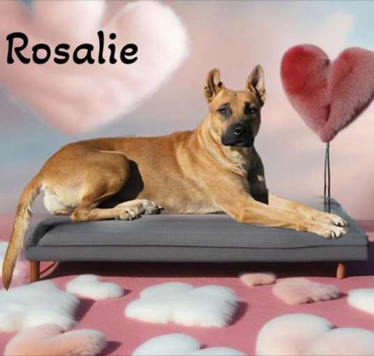 Photo of Rosalie