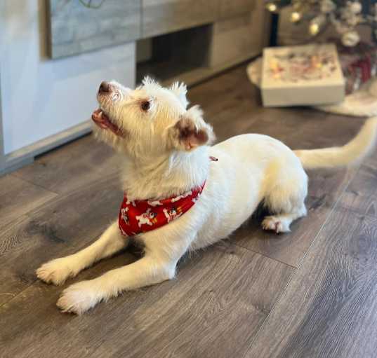 Photo of CASPER