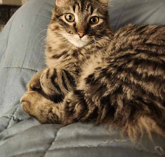 Photo of Lady Zoey Jane