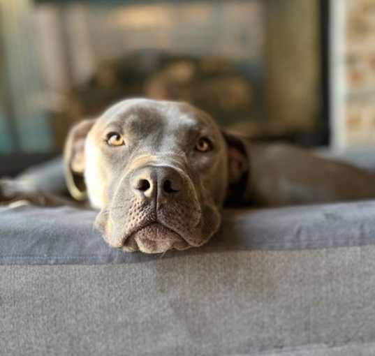 Photo of Tayo